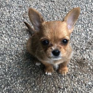 Meet your Posher, Teresa